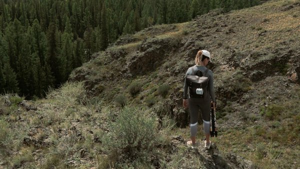 Comment organiser une croisière pour découvrir les forêts de bambous au Japon?