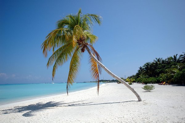 Comment organiser une visite des temples bouddhistes au Bhoutan?